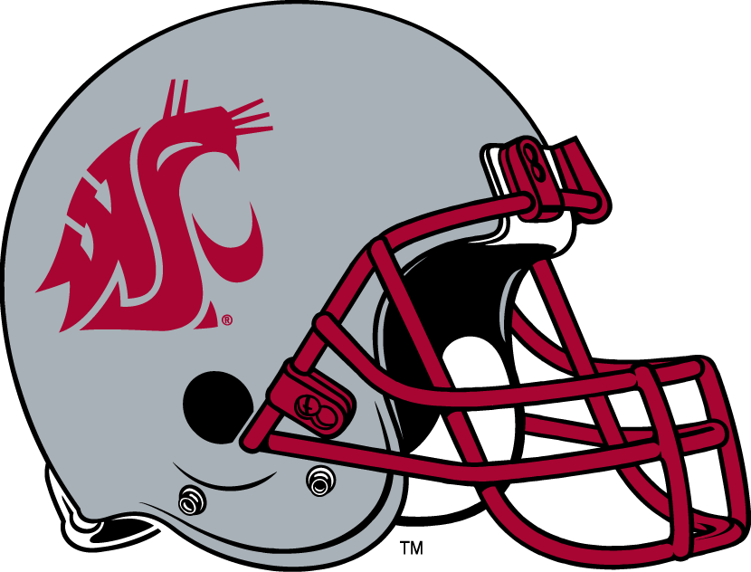 Washington State Cougars 1999-Pres Helmet Logo t shirts iron on transfers